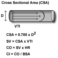 Aortic Valve Gradient